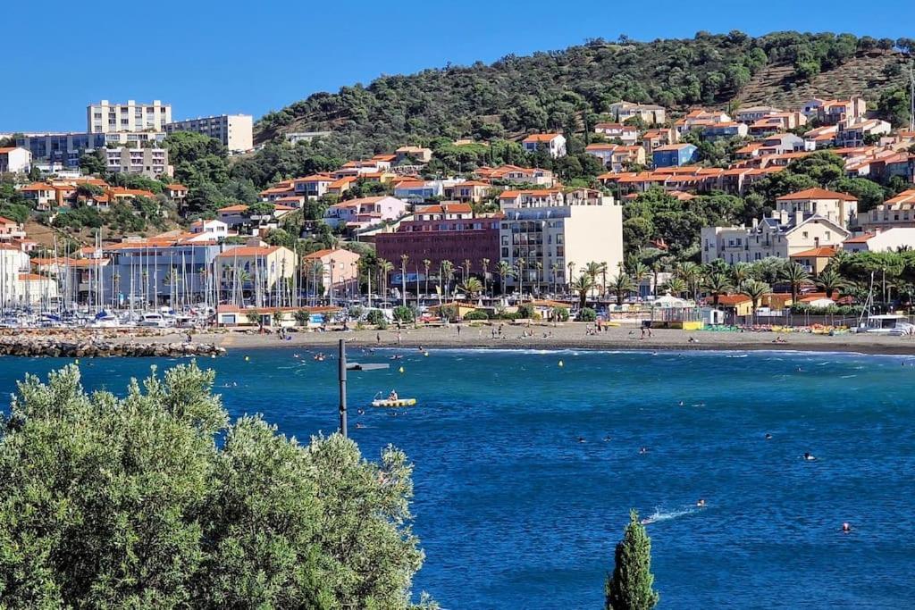Apartmán Unique Rare 1Ere Ligne Neuf Clim Banyuls-sur-Mer Exteriér fotografie